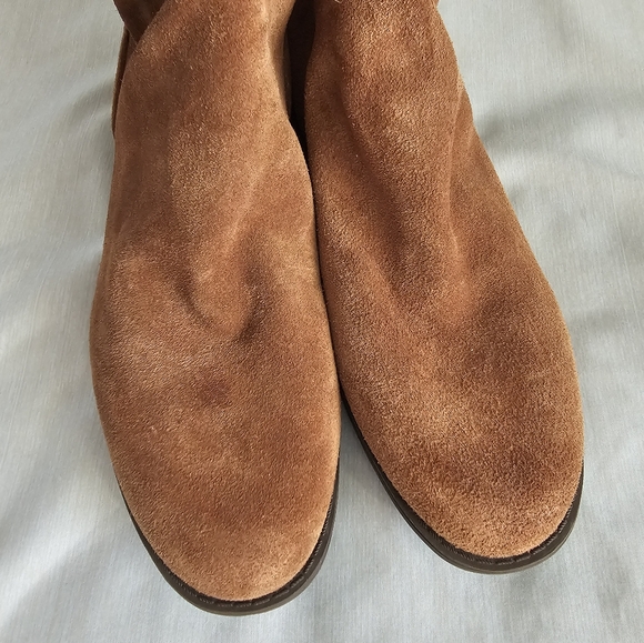 Gentle Souls New - Picture 2 of 6